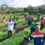 Petani Sulap Lahan Gambut jadi Pertanian Holtikultura Semi Organik