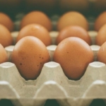 Pabrik Mini! Solusi Atasi Minimnya Pasokan Pakan Ayam Petelur