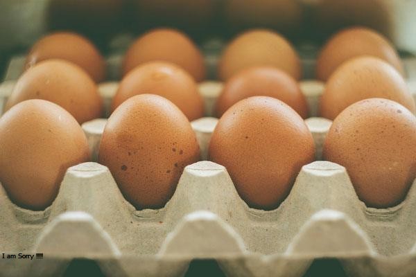 Pabrik Mini! Solusi Atasi Minimnya Pasokan Pakan Ayam Petelur