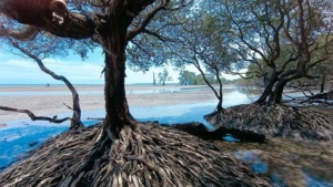 Pantai Alien Atau Teluk Lingga Akan di Kembangkan Dinas Pariwisata Kutim