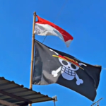 Ekspresi Kritik Lewat Bendera, Jimmi: Demokrasi Itu Boleh, Tapi Jangan Lupakan NKRI