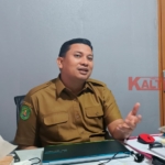 Ekspor Pisang Kepok Grecek Kutim Masih Berlanjut ke Pasar Mancanegara