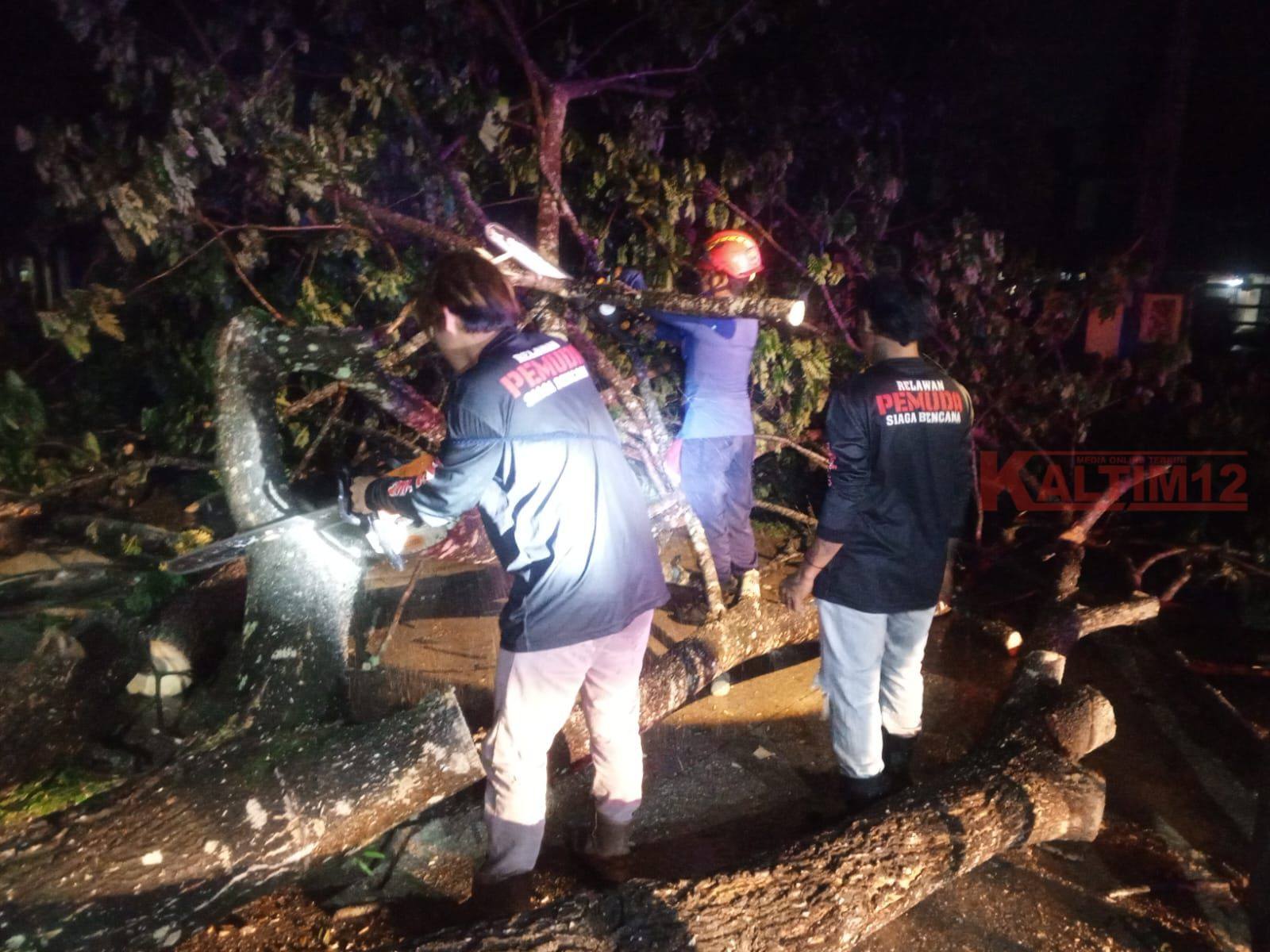 Hujan Deras dan Angin Kencang Picu Banjir serta Pohon Tumbang di Kawasan Pasar Induk   ‎