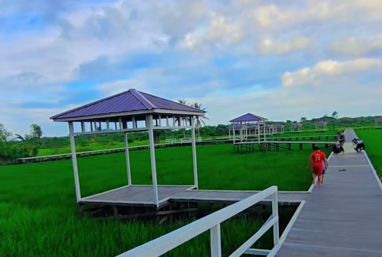 Bantu Pemerintah Penuhi Kebutuhan Pangan, Kades Teluk Pandan Ingin Perluas Lahan Sawah