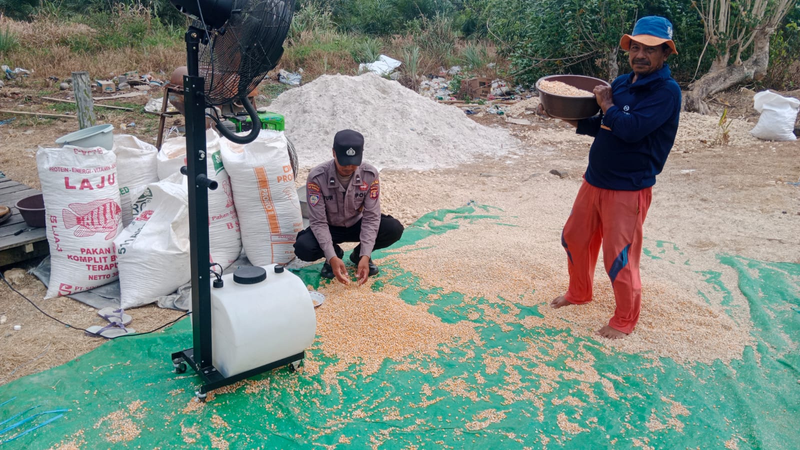 Panen Jagung 430 Kg di Teluk Pandan, Polisi Kawal Hingga Siap Masuk Bulog
