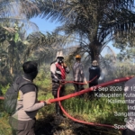 Sempat Hanguskan 1 Hektare Lahan di Sangatta Utara, Api Akhirnya Berhasil Dipadamkan