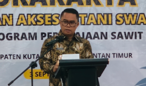 Pemerintah Dorong Riset Pengadaan Bibit Unggul Sawit