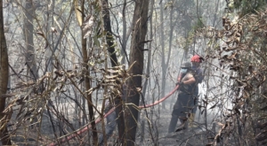 Api Mengancam Kawasan Bukit Pelangi, Sat Samapta Polres Kutim Bergerak Cegah Kebakaran Meluas