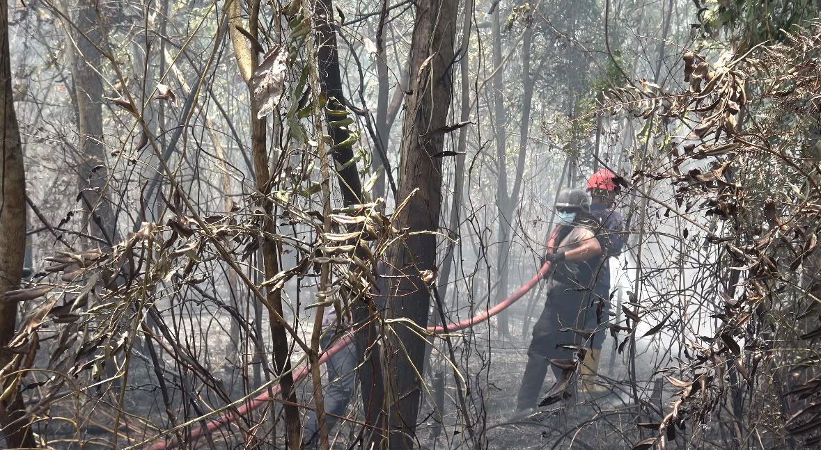 Api Mengancam Kawasan Bukit Pelangi, Sat Samapta Polres Kutim Bergerak Cegah Kebakaran Meluas