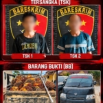 Polsek Sangkulirang Amankan Dua Terduga Pencurian 1,15 Ton Sawit PT Tri Daya Hutan Lestari