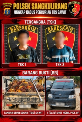Polsek Sangkulirang Amankan Dua Terduga Pencurian 1,15 Ton Sawit PT Tri Daya Hutan Lestari